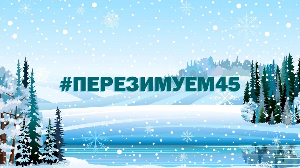 Акция «#ПЕРЕЗИМУЕМ45».